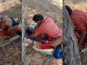 Desi village sex in the open air with local whore