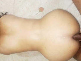 Indian wife in traditional dress gets rough during sex