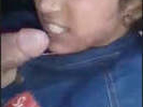 Desi wife's sensual blowjob recorded in high definition video