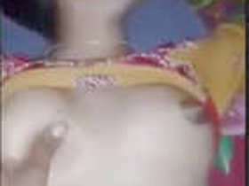 Desi woman with large breasts squeezed and penetrated