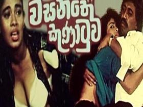 Experience the ultimate pleasure with Vasanthe's B-grade erotic movie