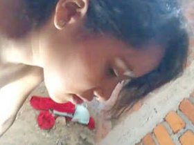 Cute young girl gets doggy-style fucking