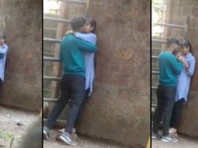 Desi couple gets caught in the act of outdoor sex in MMC video