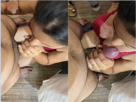 Amateur wife gives a handjob and gets laid in part 2