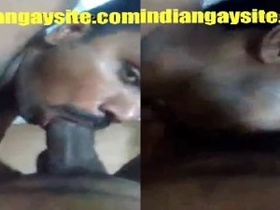 Tamil gay boys enjoy a blowjob and swallow cum in HD video