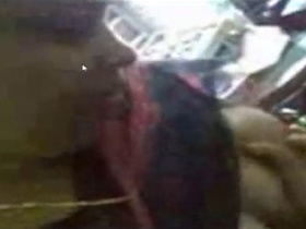 Tamilnadu village aunts get naughty in saree blouses